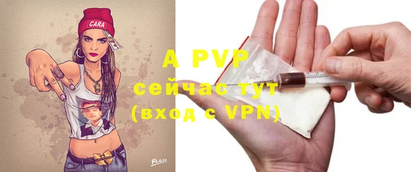 гашик Белокуриха