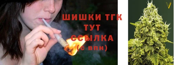 гашик Белокуриха