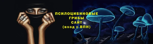 гашик Белокуриха