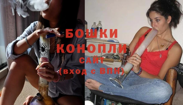 гашик Белокуриха