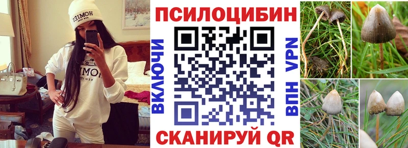 Галлюциногенные грибы прущие грибы  Чернушка 
